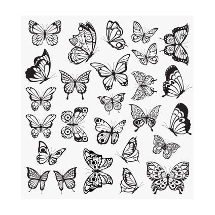 Motyl przezroczysty