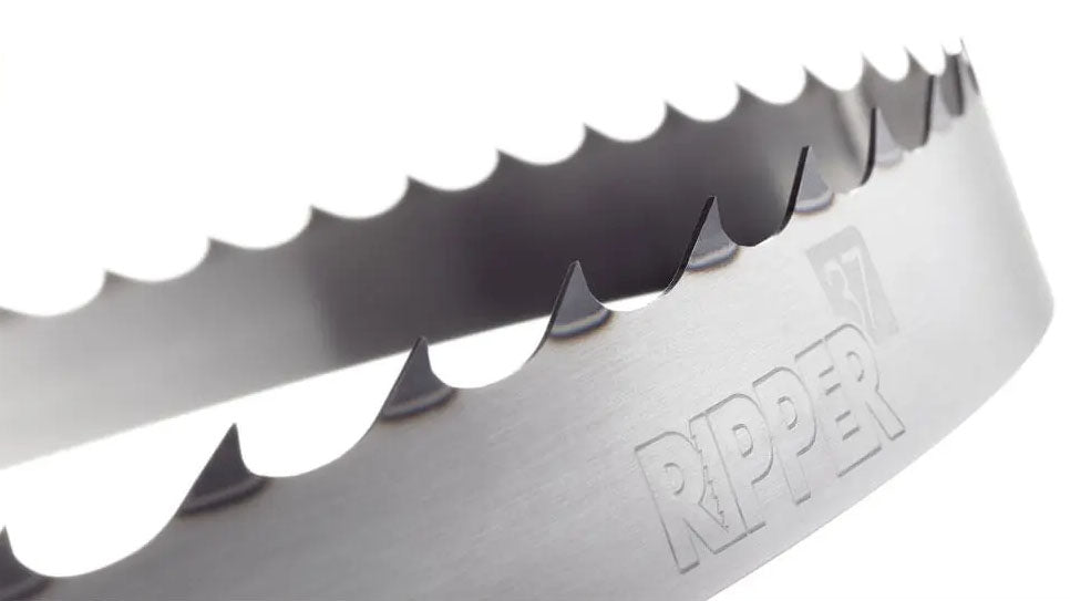 Band saw blade 4318 26mm Z2 Hook Ripper