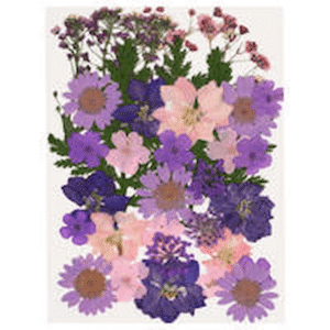 Blóm pressuð og þurkuð f Funky table